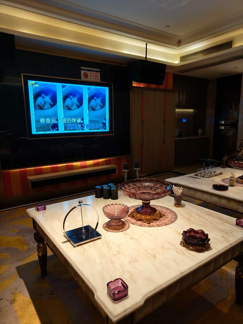 潍坊商务ktv怎么样享受优质服务-奎文区ktv预定